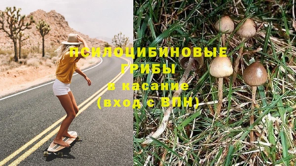 кокаин Богданович